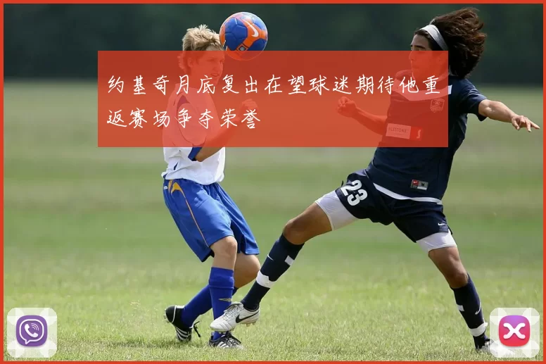 约基奇月底复出在望球迷期待他重返赛场争夺荣誉