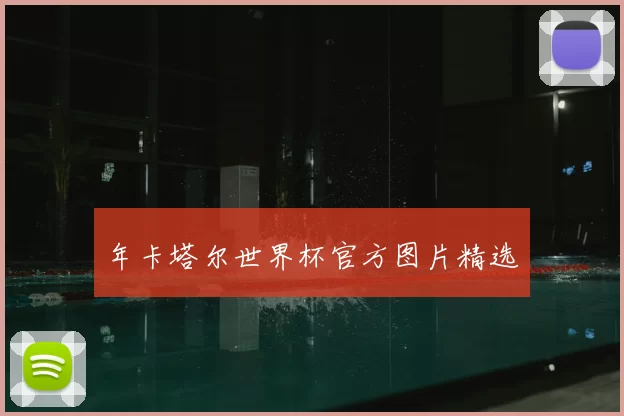 年卡塔尔世界杯官方图片精选