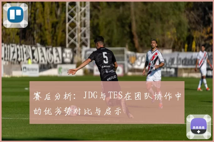 赛后分析:JDG与TES在团队协作中的优劣势对比与启示