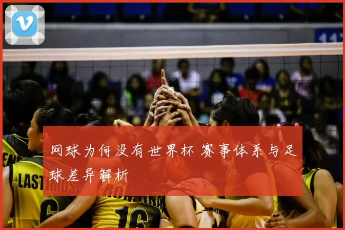 网球为何没有世界杯 赛事体系与足球差异解析