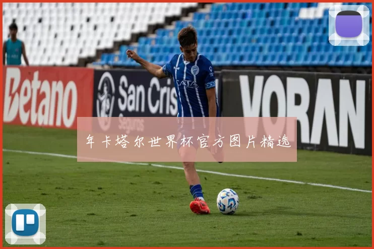 年卡塔尔世界杯官方图片精选