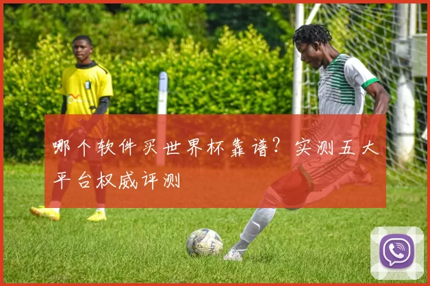 哪个软件买世界杯靠谱？实测五大平台权威评测