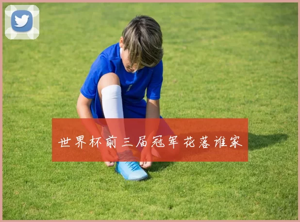 世界杯前三届冠军花落谁家
