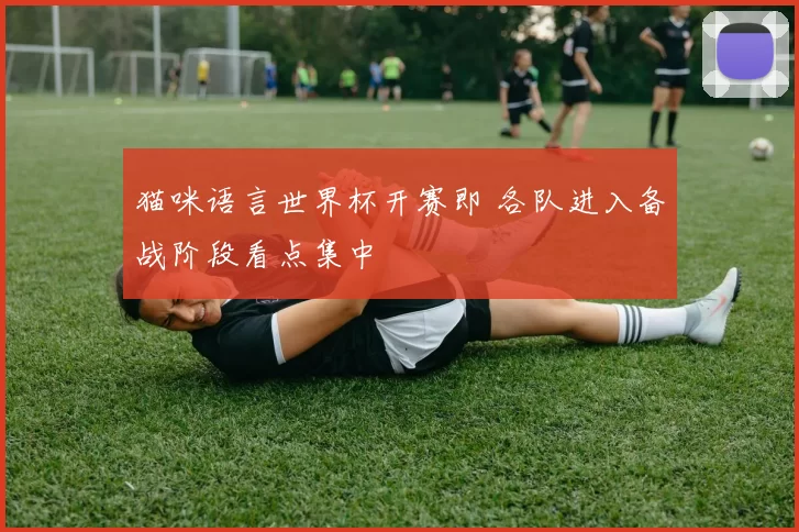 猫咪语言世界杯开赛即 各队进入备战阶段看点集中
