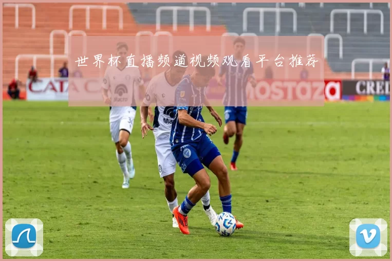 世界杯直播频道视频观看平台推荐