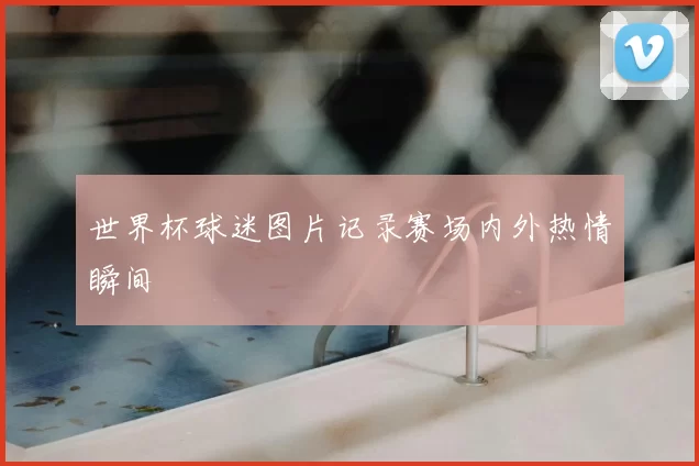 世界杯球迷图片记录赛场内外热情瞬间