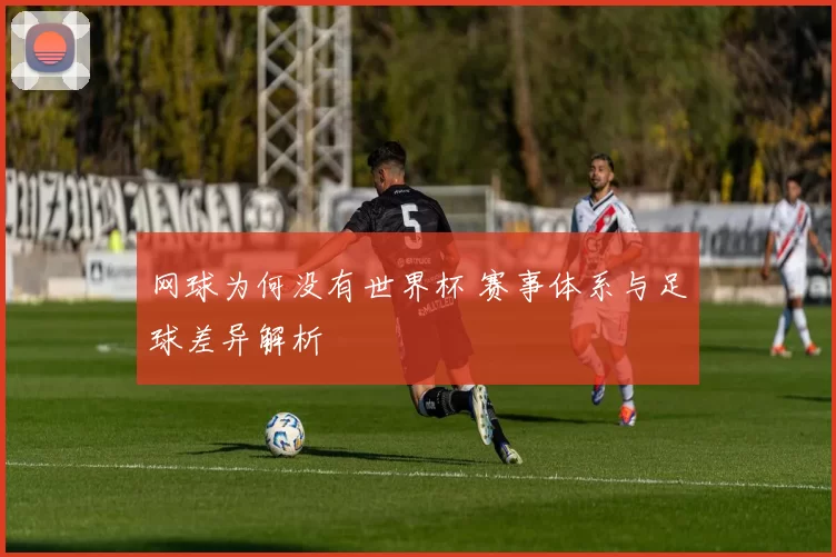 网球为何没有世界杯 赛事体系与足球差异解析