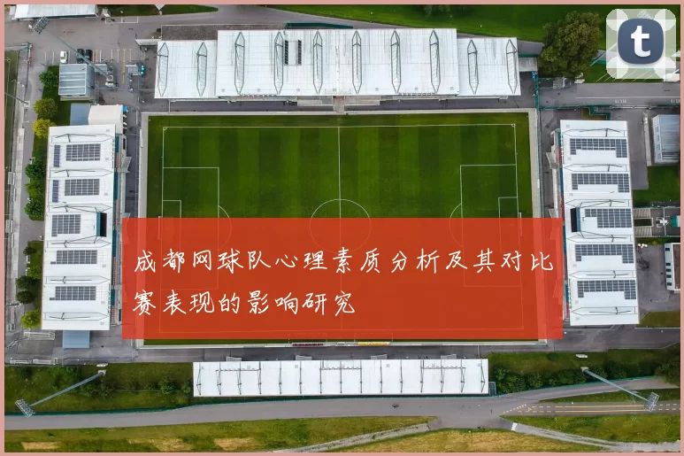 成都网球队心理素质分析及其对比赛表现的影响研究